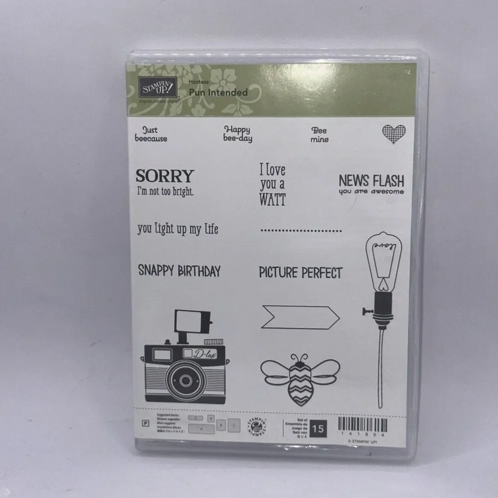 Stampin Up Stamp Set PUN INTENDED Retired Sets photography bee funny punny